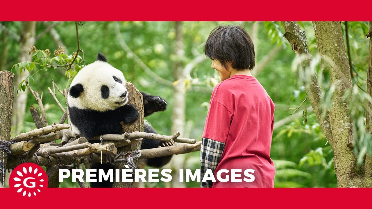 Moon The Panda Trailer