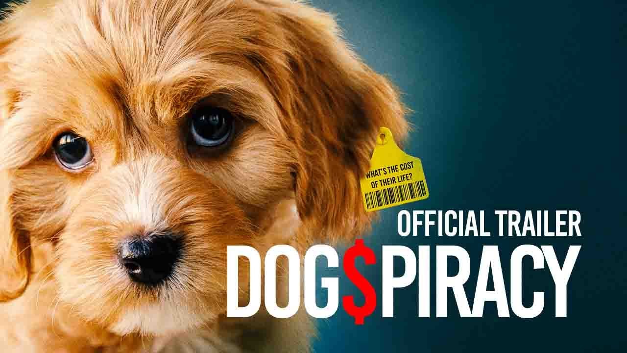 Dogspiracy Trailer
